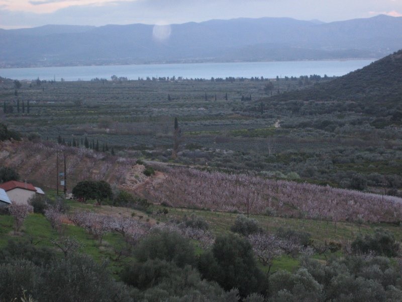 Αγροτεμάχια 120.000 τ.μ. για πώληση, Αργολίδα, Λέρνα