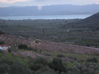 Αγροτεμάχια 120.000 τ.μ. για πώληση