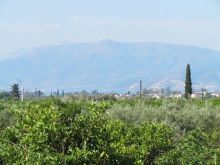 Αγροτεμάχια 5.000 τ.μ. για πώληση, Αργολίδα, Μιδέα-thumb-3