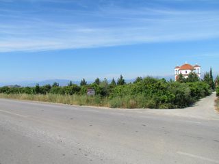 Αγροτεμάχια 5.000 τ.μ. για πώληση, Αργολίδα, Μιδέα-thumb-2