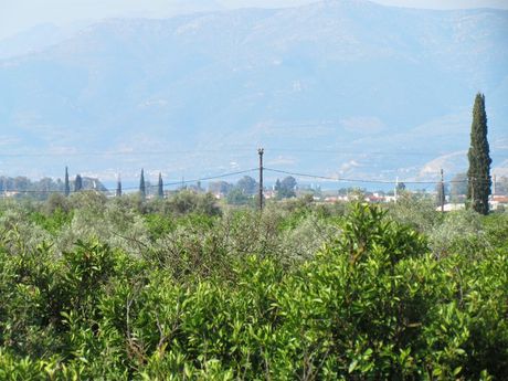 Parcel 5.000sqm for sale-Midea