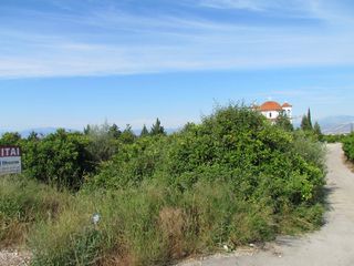 Αγροτεμάχια 5.000 τ.μ. για πώληση, Αργολίδα, Μιδέα-thumb-1