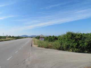 Αγροτεμάχια 5.000 τ.μ. για πώληση
