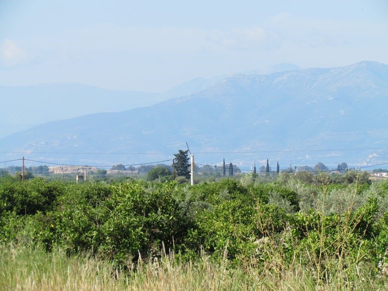 Parcel 5.000 sqm for sale, Midea