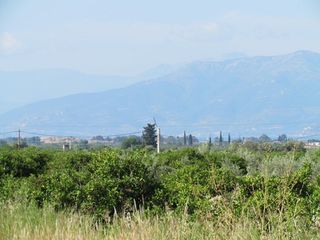 Αγροτεμάχια 5.000 τ.μ. για πώληση, Αργολίδα, Μιδέα-thumb-4