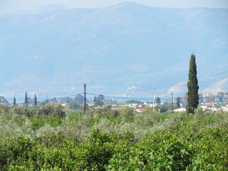 Αγροτεμάχια 5.000 τ.μ. για πώληση, Αργολίδα, Μιδέα-thumb-5