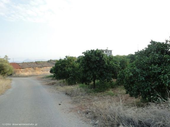 Αγροτεμάχια 2.000 τ.μ. για πώληση, Αργολίδα, Μυκήνες