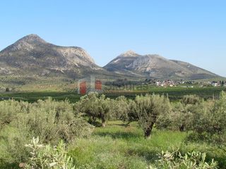 Αγροτεμάχια 2.000 τ.μ. για πώληση, Αργολίδα, Μυκήνες-thumb-1