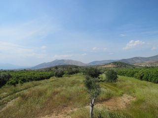 Αγροτεμάχια 3.500 τ.μ. για πώληση, Αργολίδα, Μιδέα-thumb-4