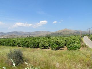 Αγροτεμάχια 3.500 τ.μ. για πώληση, Αργολίδα, Μιδέα-thumb-2