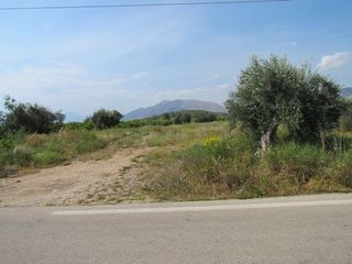 Αγροτεμάχια 3.500 τ.μ. για πώληση