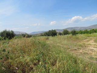 Αγροτεμάχια 3.500 τ.μ. για πώληση, Αργολίδα, Μιδέα-thumb-6