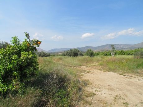 Parcel 3.500sqm for sale-Midea