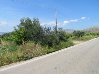 Αγροτεμάχια 3.500 τ.μ. για πώληση