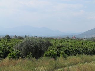 Αγροτεμάχια 3.500 τ.μ. για πώληση, Αργολίδα, Μιδέα-thumb-5