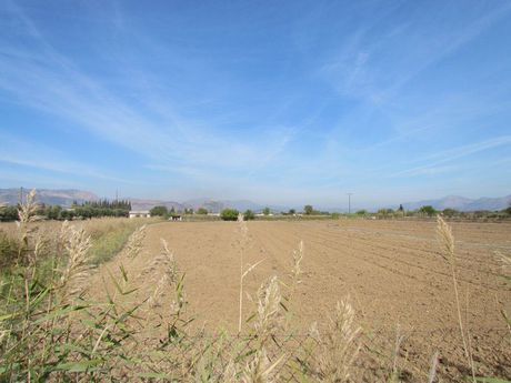 Αγροτεμάχια 7.500τ.μ. για πώληση-Νέα κίος