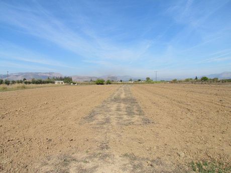 Αγροτεμάχια 7.500τ.μ. για πώληση-Νέα κίος