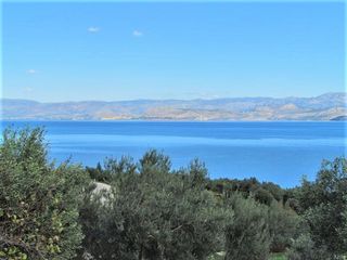 Αγροτεμάχια 5.700 τ.μ. για πώληση