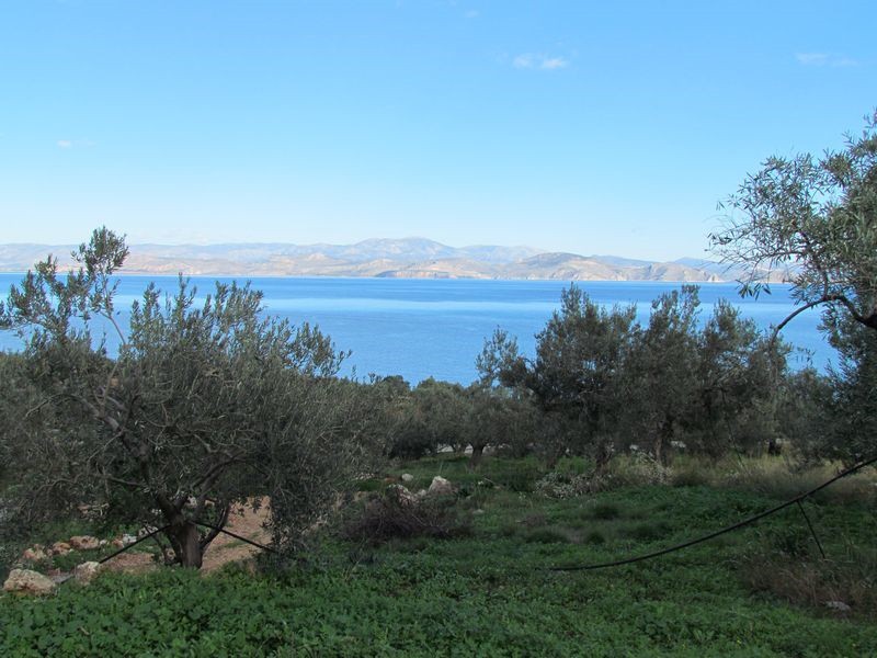 Αγροτεμάχια 5.700 τ.μ. προς πώληση, Ξηροπήγαδο Βόρειας Κυνουρίας