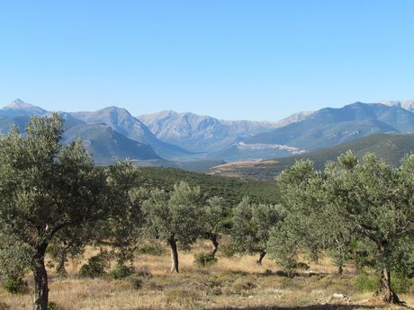 Parcel 37.500sqm for sale-Koutsopodi