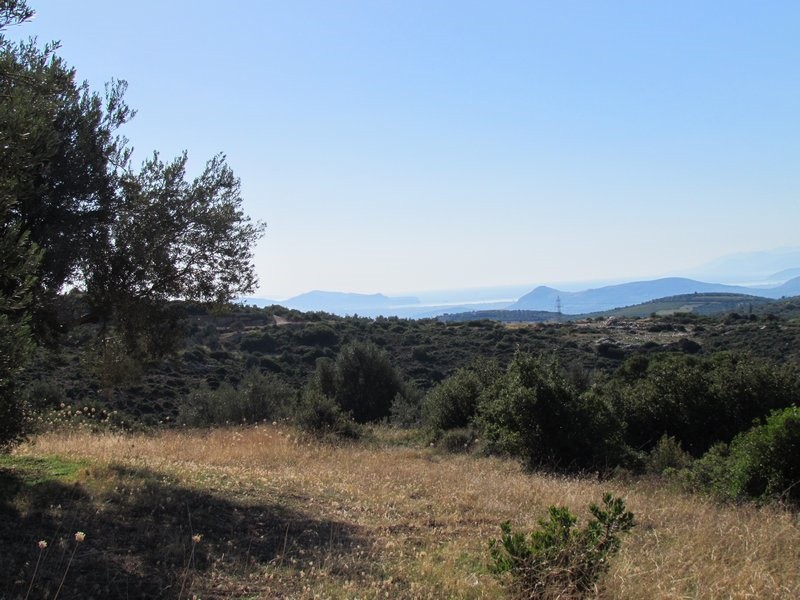 Αγροτεμάχια 37.500 τ.μ. προς πώληση, Μαλαντρένι