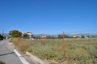 Οικόπεδο 3.000 τ.μ. για πώληση, Αργολίδα, Νέα Τίρυνθα-thumb-3