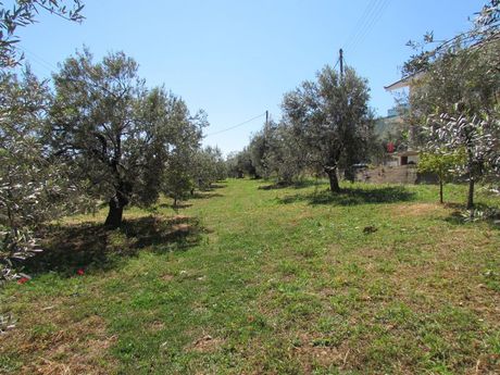 Οικόπεδο 1.000 τ.μ. για πώληση