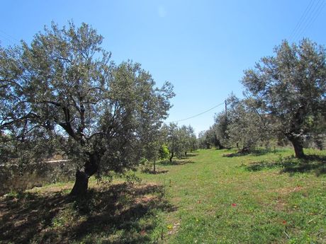 Land plot 1.000sqm for sale-North Kinouria