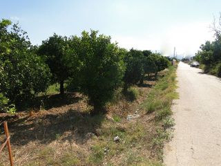 Αγροτεμάχια 8.800 τ.μ. για πώληση