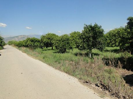 Parcel 8.800sqm for sale-Nea Kios