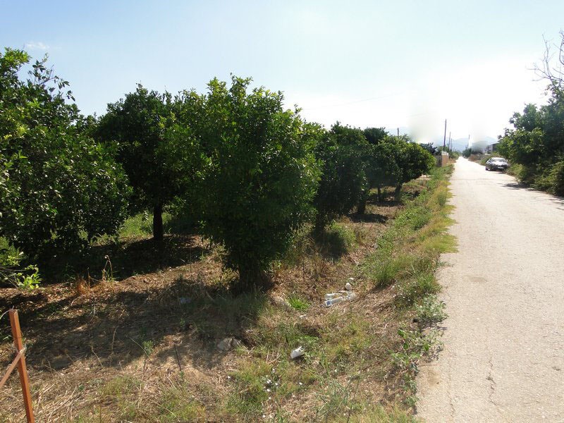 Αγροτεμάχια 8.800 τ.μ. προς πώληση, Νέα Κίος