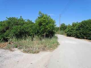 Αγροτεμάχια 7.500 τ.μ. για πώληση, Αργολίδα, Μιδέα-thumb-6