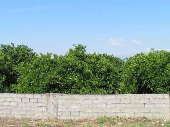 Parcel 7.500 sqm for sale, Argolis, Midea