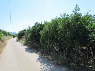 Αγροτεμάχια 7.500 τ.μ. για πώληση, Αργολίδα, Μιδέα-thumb-3