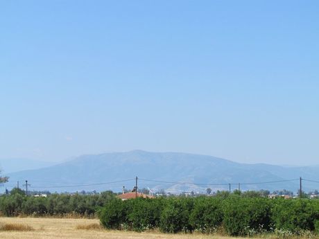 Αγροτεμάχια 7.500τ.μ. για πώληση-Μιδέα
