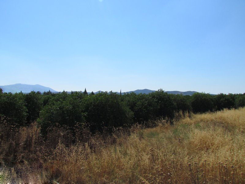 Αγροτεμάχια 7.500 τ.μ. για πώληση, Αργολίδα, Μιδέα