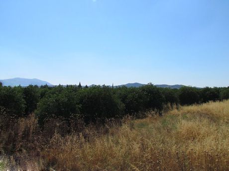 Parcel 7.500sqm for sale-Midea