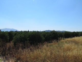 Αγροτεμάχια 7.500 τ.μ. για πώληση