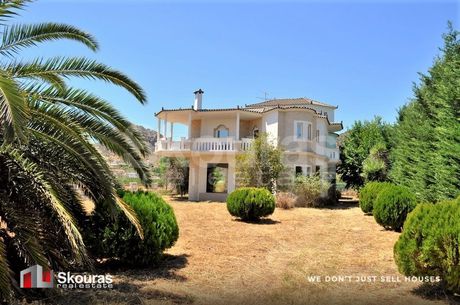 Μονοκατοικία 420τ.μ. για πώληση-Ασίνη