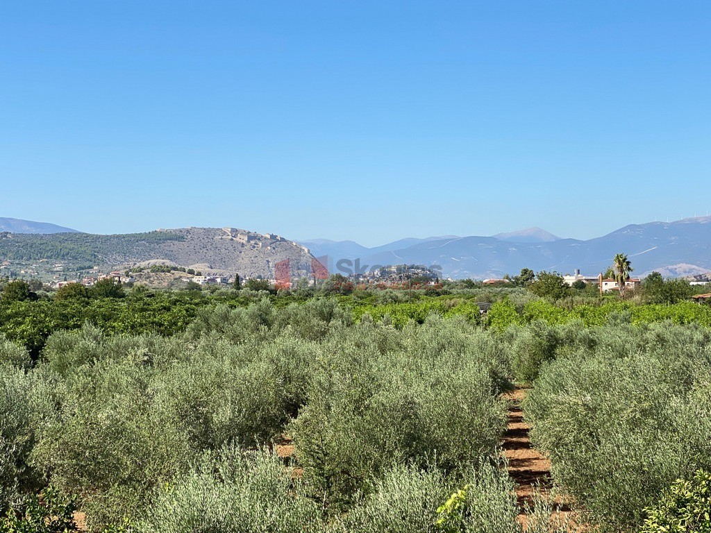 Μονοκατοικία 256 τ.μ. προς πώληση, Κέντρο Ναυπλίου