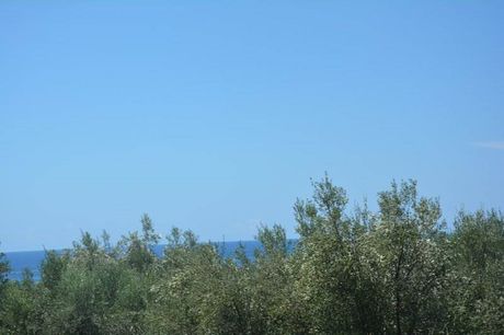 Αγροτεμάχια 14.000 τ.μ. για πώληση