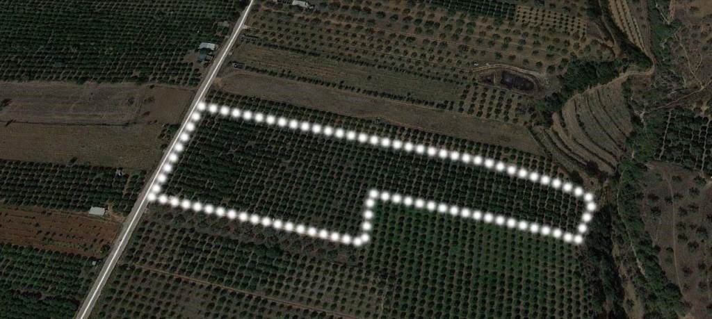 Αγροτεμάχια 12.000 τ.μ. προς πώληση, Άγιος Αδριανός