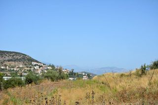 Αγροτεμάχια 28.000 τ.μ. για πώληση