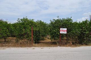 Αγροτεμάχια 4.500 τ.μ. για πώληση, Αργολίδα, Μιδέα-thumb-1