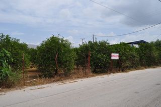 Αγροτεμάχια 4.500 τ.μ. για πώληση, Αργολίδα, Μιδέα-thumb-9