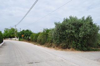 Αγροτεμάχια 4.500 τ.μ. για πώληση, Αργολίδα, Μιδέα-thumb-2