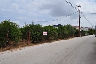 Αγροτεμάχια 4.500 τ.μ. για πώληση
