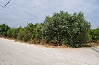Αγροτεμάχια 4.500 τ.μ. για πώληση, Αργολίδα, Μιδέα-thumb-13