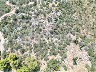 Αγροτεμάχια 4.732 τ.μ. για πώληση, Αργολίδα, Ασίνη-thumb-6