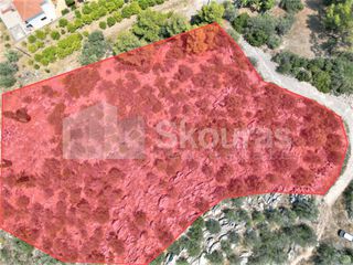 Αγροτεμάχια 4.732 τ.μ. για πώληση, Αργολίδα, Ασίνη-thumb-3